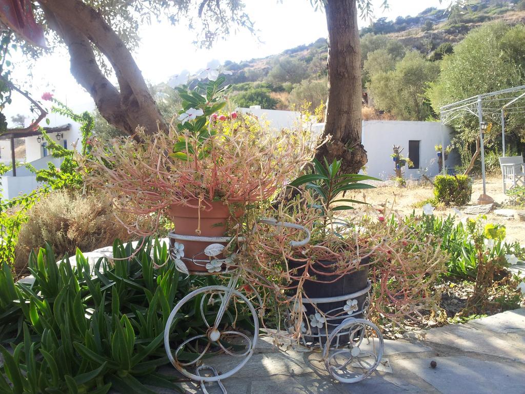 Ostria Studios Platis Gialos (Sifnos) Exterior foto