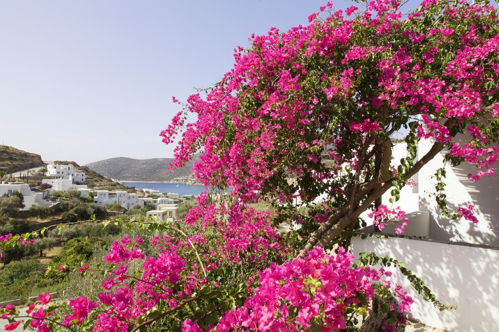 Ostria Studios Platis Gialos (Sifnos) Exterior foto